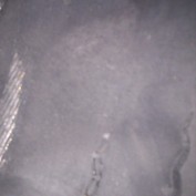Earnie profile image