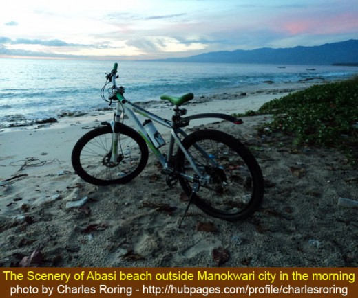 My mountain bike with the scenery of Abasi beach just outside Manokwari city early in the morning