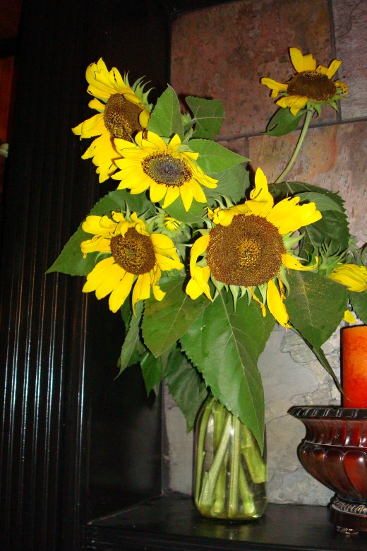 Enjoy fresh Cut Flowers all Summer when you grow your own flowers from seed