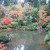 Looks like a natural pond deep within the woods, but notice how each tree and shrub are perfectly maintained and controlled for the yin and yang experience