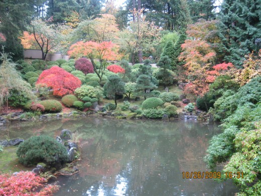 Looks like a natural pond deep within the woods, but notice how each tree and shrub are perfectly maintained and controlled for the yin and yang experience