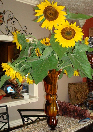 Larger vase of sunflowers from the garden