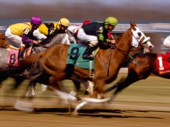 How to Bet on Horse Races: A Beginner's Guide