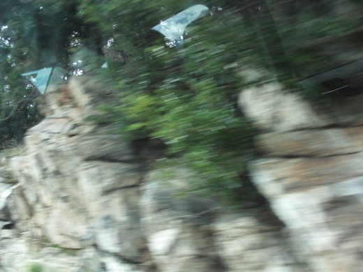 Rocks and bushes seen outside the car window are almost like a blur.