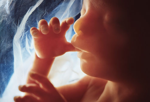 20 weeks gestation.The baby is now about 6 inches long and can yawn, suck her thumb and show facial expressions