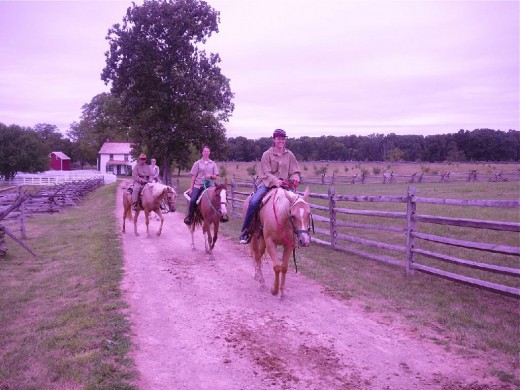 A snapshot of a horseback tour.