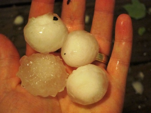 Downtown Knoxville got pounded by hail tonight.  Our car's didn't make it unscathed.