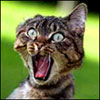 HubPages profile picture for @nipple