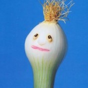 ricksterK profile image