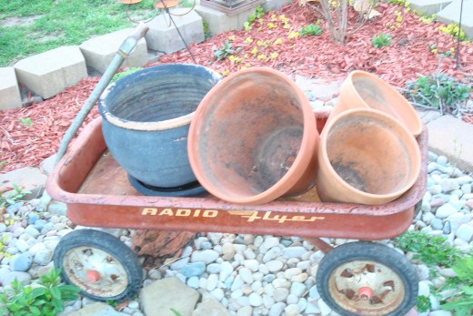 Add interest to the display by turning terra cotta pots on angle in a wagon, so plants trail down the sides