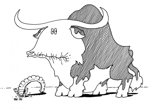 Sore-Gum Steer