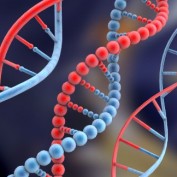 genes profile image