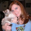 kay2878 profile image
