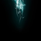 sebev profile image