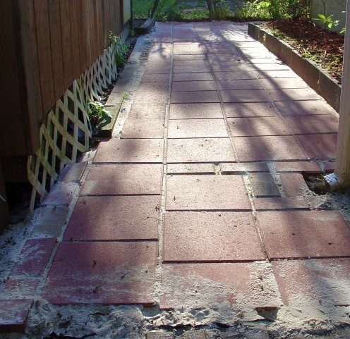 Patio with Personality
