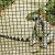 Ring-tailed lemur from Madagascar Ring-tailed lemur from Madagascar