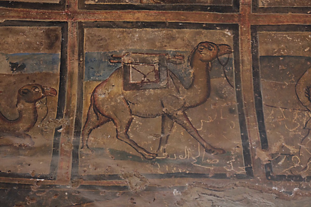 A particularly fine wall decoration at the bath house of Qasr Amri is this camel, almost perfectly preserved 1,300 years after it was first painted. 