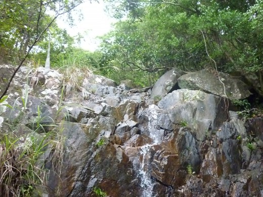 This little waterfall is in one of the many mountain streams in Hong Kong