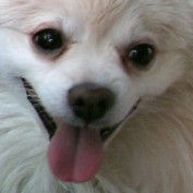 quaiattini profile image