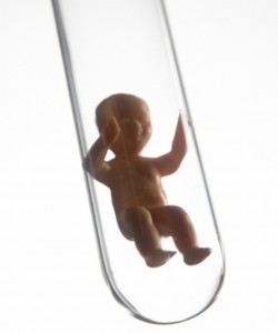 There is no truth in the term "test tube baby." Embryo's are far from reconizable when they are returned to the uterus as they are only three to five days old.