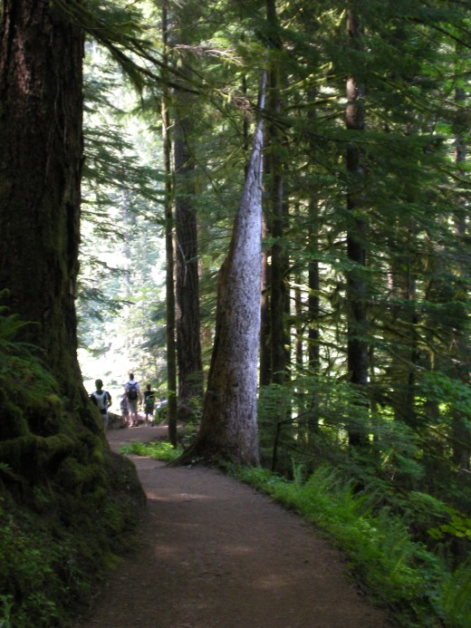 Photos of my hike