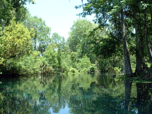 Silver Springs Ocala