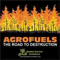 Bio fuels are an offside contributor to food deserts. The food such as corn that can be eaten, is instead diverted and turned into bio fuel.