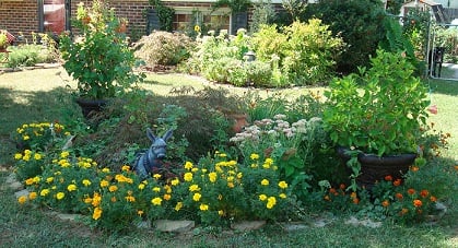 The FREE Garden filled with Perennials and Annuals