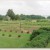 Plantation Plantation