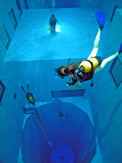 Finding Nemo in Nemo 33, The World's Scariest Pool