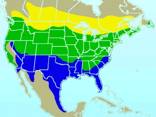 Range/distribution map of the American Goldfinch.       YELLOW: Summer-only range; GREEN Year-round range;  BLUE Winter-only. 