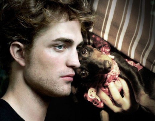 Tiki, the star of Twilight. Created by using Photofunia.