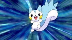 Pachirisu owned by Dawn.