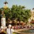 Following our yellow flag (tour guides) Following our yellow flag (tour guides)