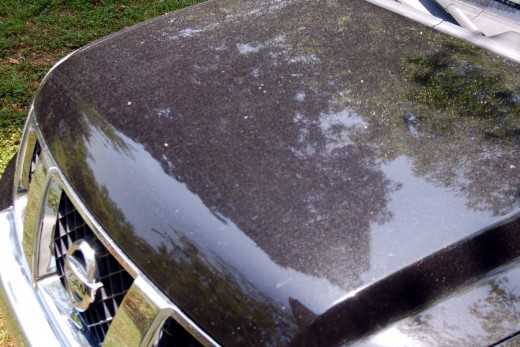 I went to an automatic car wash today.  As you can see from my hood, it didn't clean well at all.  What a waste of $9