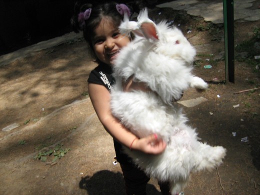 Shronika with rabbit near Hadimba Temple