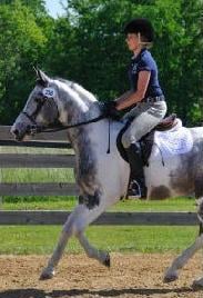 Easy! From home to basic horse show with no additional cost for clothing.