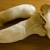 King Oyster Mushroom King Oyster Mushroom