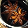 sapnwnewbie profile image