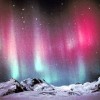 aurora337 profile image