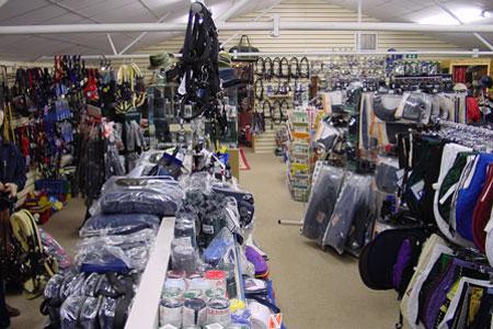 Too much to choose from!! What do I buy? A saddle? ...Would you buy a collar to walk the neighbor's dog? No.