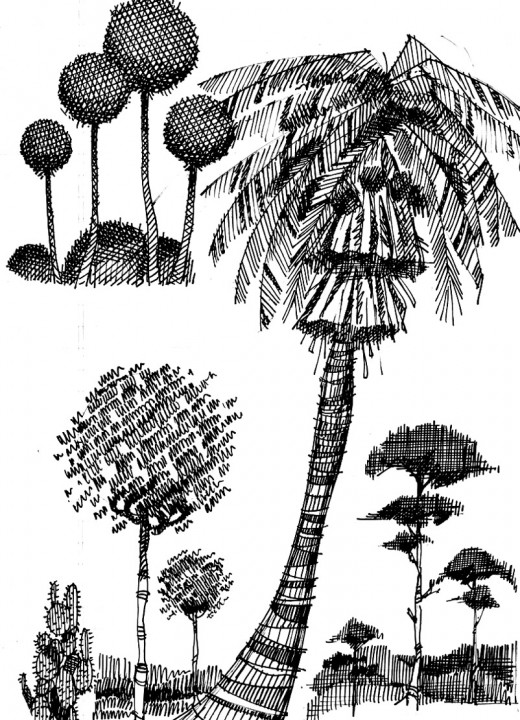 Lush and Varied Landscaping