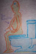 More About Potty Training for all Ages, Waste Evacuation