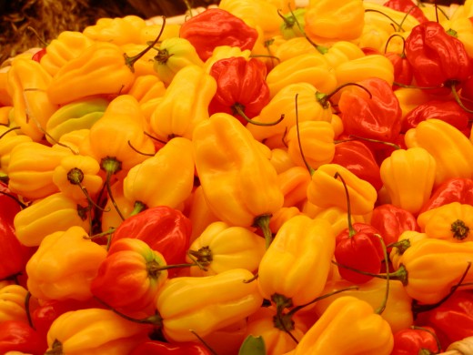 If you're concerned with the pepper's heat, use gloves while separating the seeds.