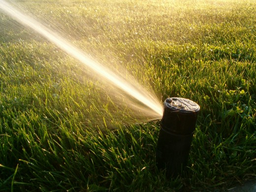Watering a lawn or garden efficiently will save money, and encourage proper growth.