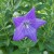 Delicate, yet sturdy. Delicate, yet sturdy.