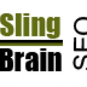 SlingBrain profile image