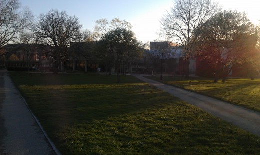 Walks can be a pleasant break especially when taken with a friend.  It's also great excersize!