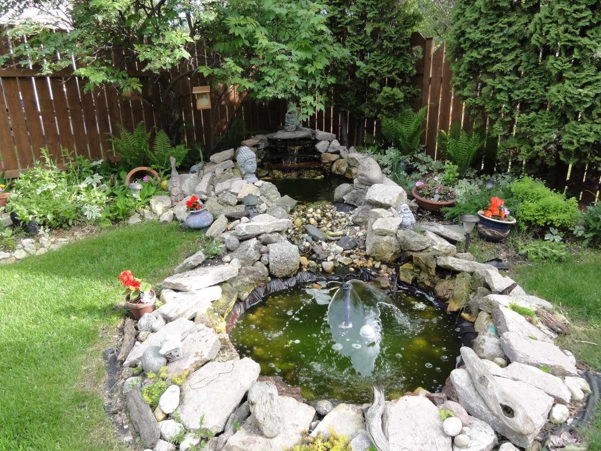 How to Build a Waterfall Meditation Pond for Your Backyard ...