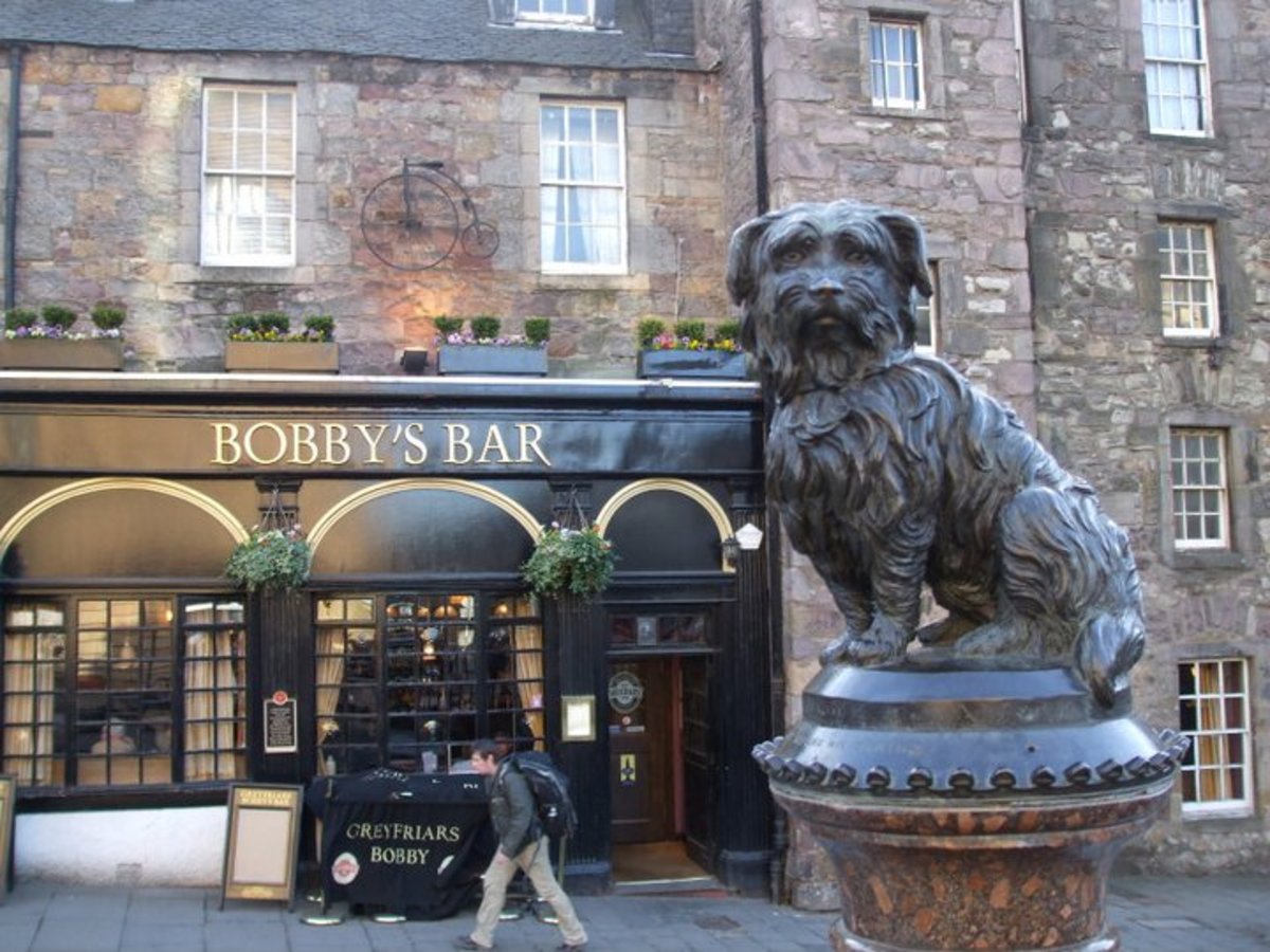 Famous Dogs in History : The Story of Greyfriars Bobby